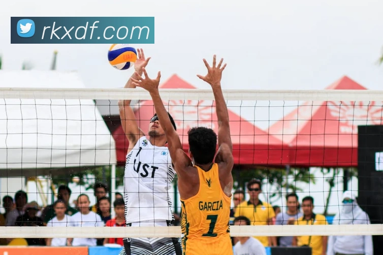 多媒体互动体验